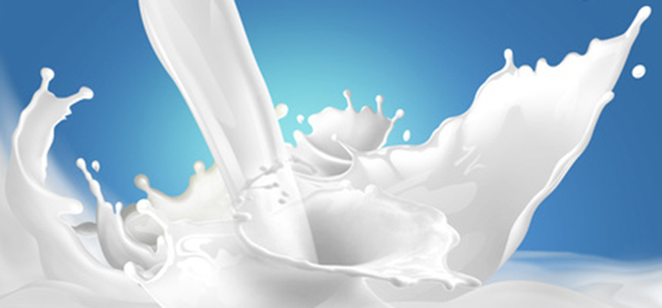 beneficios do leite para o organismo