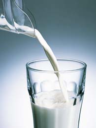 Produção de leite a pasto é alternativa para produtor