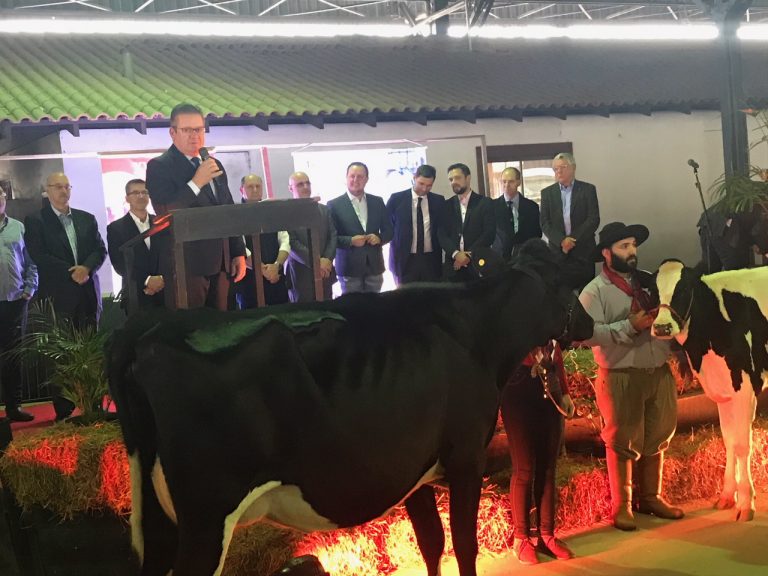 Pub do Queijo divulga potencialidades do provolone e coalho durante a Fenasul 2019