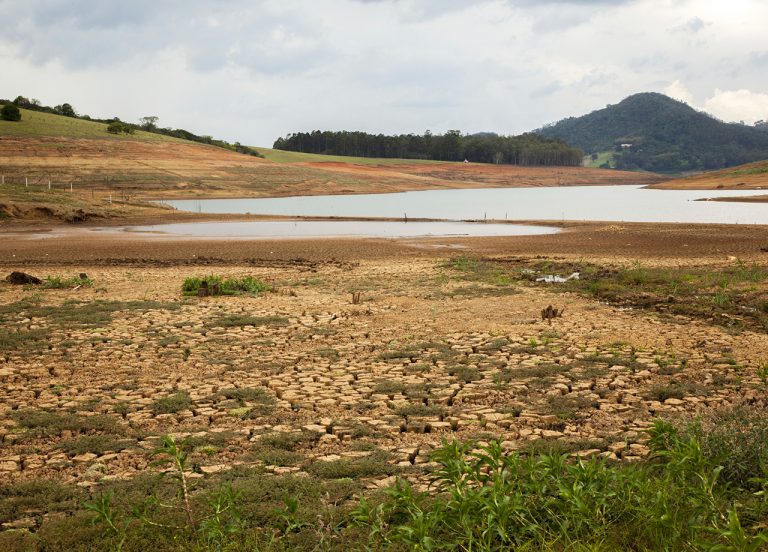 Sindilat alerta para impacto da estiagem na produção leiteira do Estado