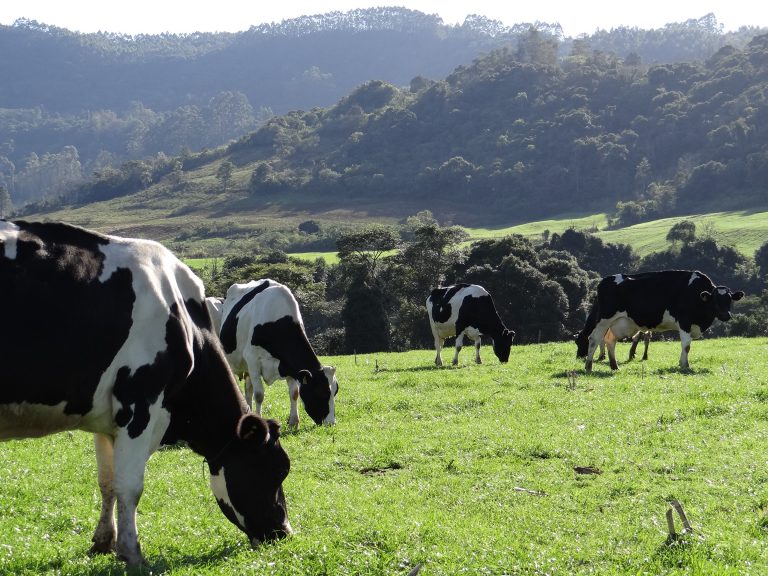 Taxa do Fundesa será de R$ 0,00145 por litro em 2022