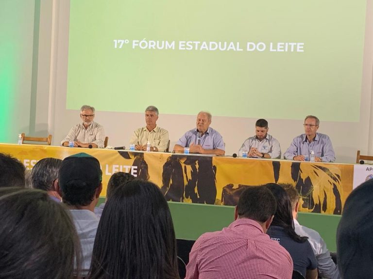 Eficiência produtiva é chave para avanço do setor lácteo