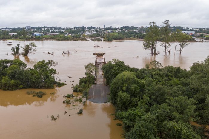 Captação de leite é retomada e indústrias iniciam campanhas de doações