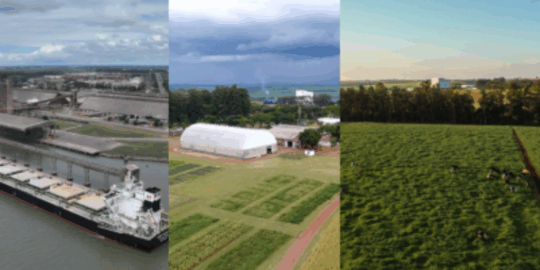 CCGL completa 50 anos